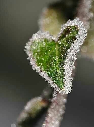 894d077818a7a09163273c955f8009f3